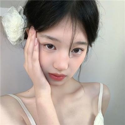 南方有乔木